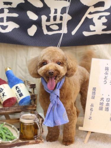 20240628マロンくん